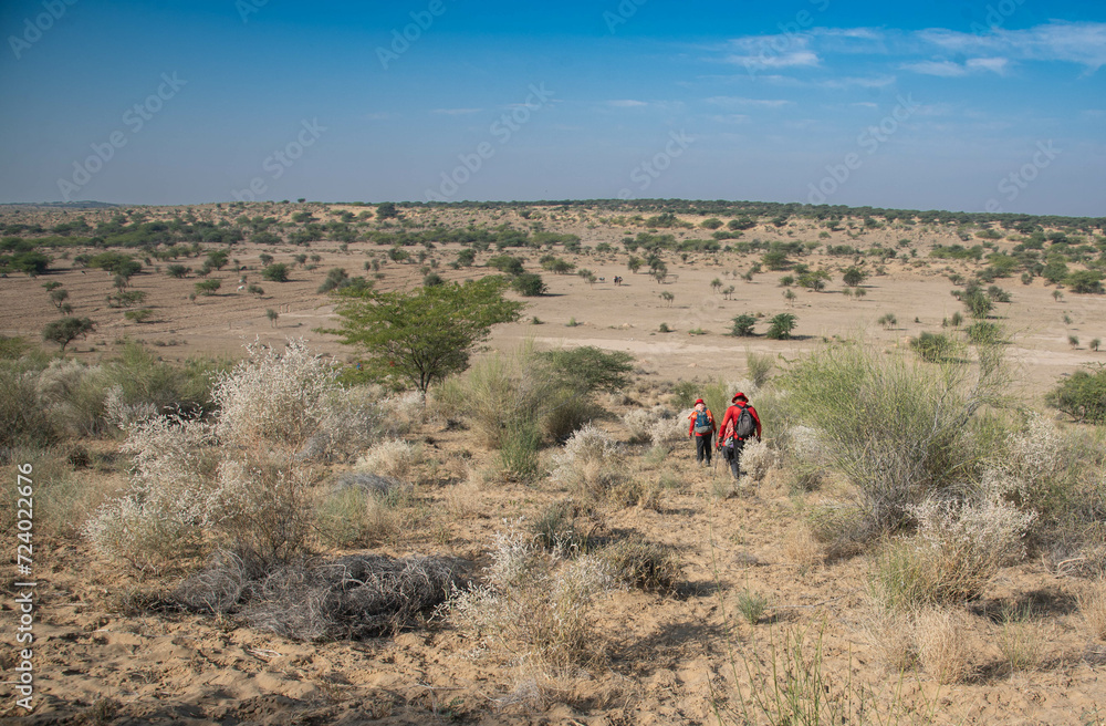 person walking in the desert