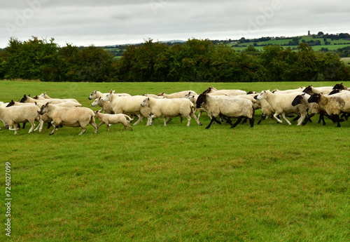 Skryne, Ireland - september 15 2022 : the Hill of Tara