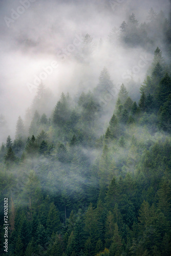 Dolomites Mountains forest covered in clouds in autumn season. Italy