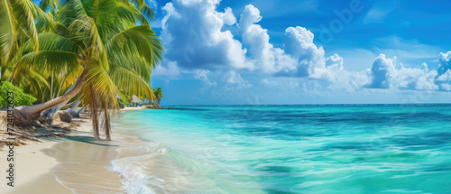 Idyllic Panoramic View of a Serene Tropical Beach with Crystal Waters.