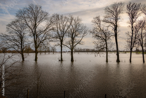 The flooded floodplains and the many hiking trails during weeks of heavy downpour, caused by climate change, near the rain river IJssel in the province of Overijssel, the Netherlands © Hulshofpictures