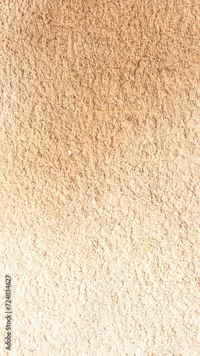 Wallpaper Mural Portrait Texture of Grey Carpet Torontodigital.ca