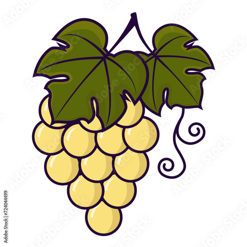 grappe de raisin blanc