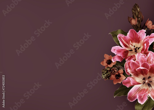 Pink tulips and ornithogalu...