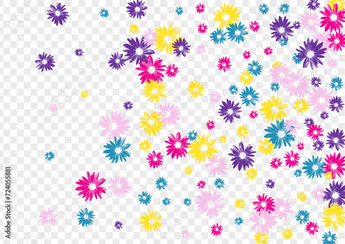 Fototapeta Naklejka Na Ścianę i Meble -  Bright Plant Background Transparent Vector. Leaf Simple Print. Purple Garden Hand Drawn. Amazing Backdrop. Childhood Multi-colored Flower.