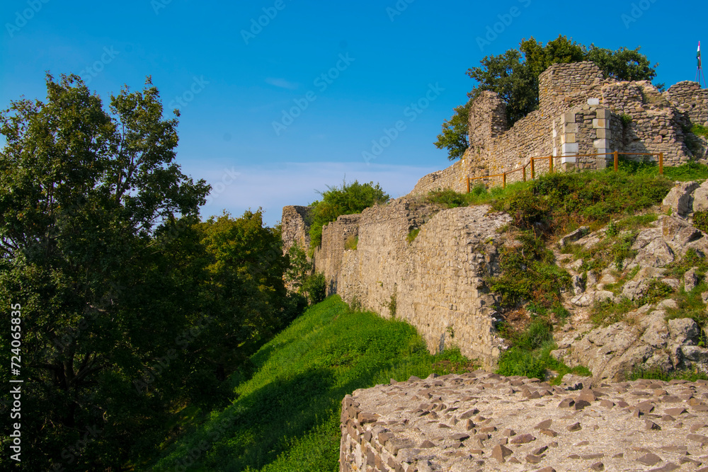 Fototapeta premium Ruins of the Medieval Fortress of Dregely