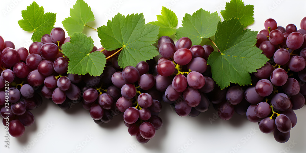 Purple grapes isolated on white background Purple grapes isolated on white background