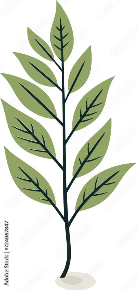 Leafy Abstraction Abstract Leaf Vector IllustrationsNatures Geometry Symmetry in Leaf Vector Patterns