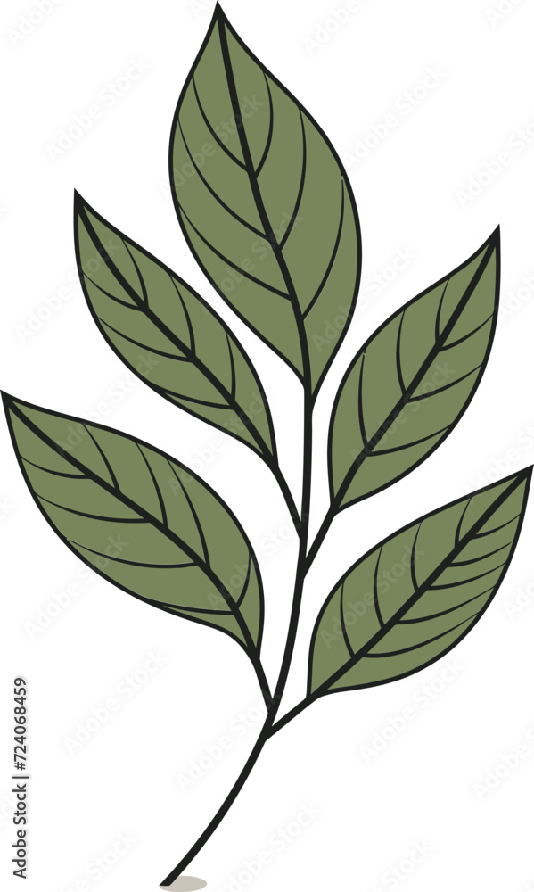 Tropical Temptations Alluring Leaf Vector IllustrationsDynamic Foliage Movement in Leaf Vector Art
