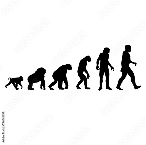 Evolution of human silhouette