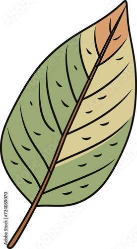 Crafting Botanical Charm Leaf Vector ArtistryDesigning Serenity Leaf Vector Illustration Essentials