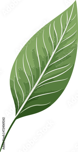 Tropical Fantasy Exotic Leaf Vector ArtLeafy Flourish Detailed Leaf Vector Illustrations