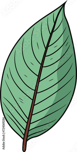 Enchanted Flora Mystical Leaf Vector IllustrationsTropical Harmony Exotic Leaf Vector Patterns