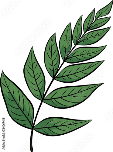 From Idea to Masterpiece Leaf Vector Illustration JourneyUnveiling Leaf Vector Realism Techniques and Insights