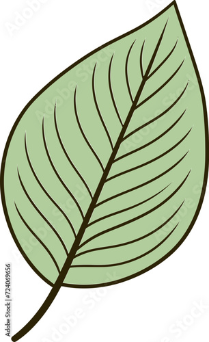 Exotic Botanicals Tropical Leaf Vector PatternsNatures Serenade Harmonious Leaf Vector Illustrations