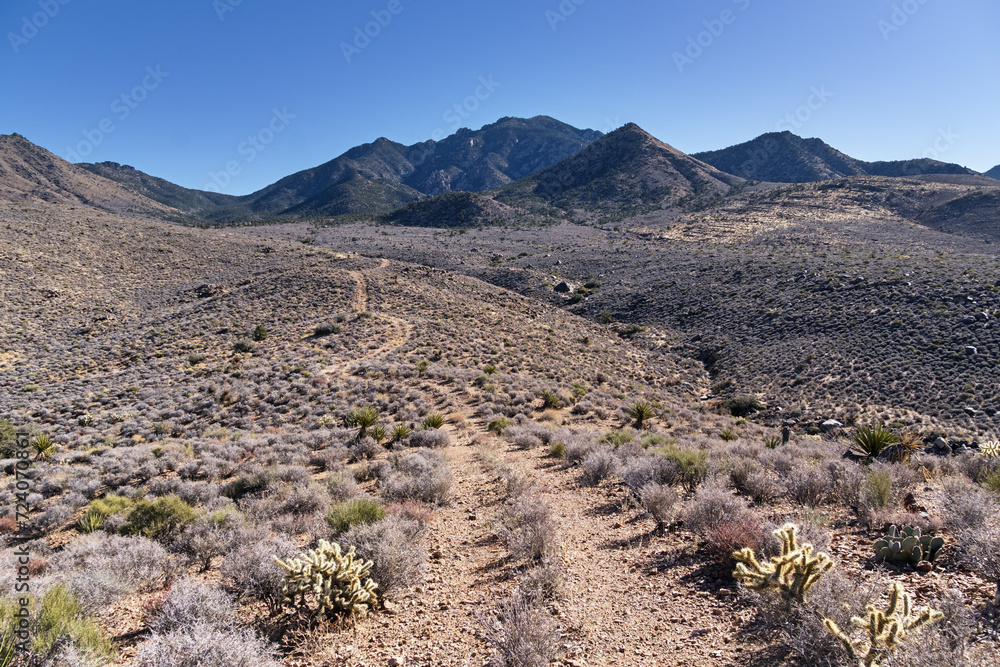  Desert Double Track Dirt Road