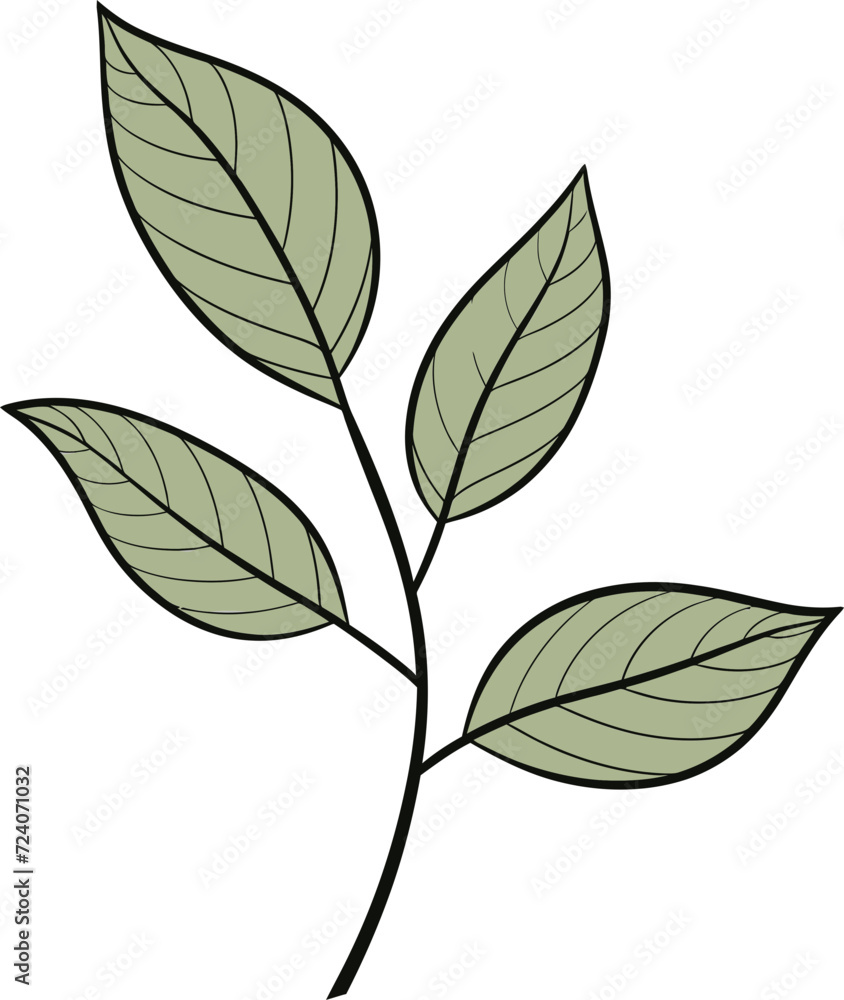 Botanical Impressions Detailed Leaf Vector NarrativesArtistic Fusion Creative Leaf Vector Narratives