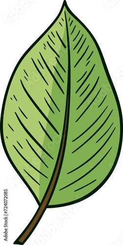 Tropical Serenade Exotic Leaf Vector NarrativesBotanical Impressions Detailed Leaf Vector Narratives