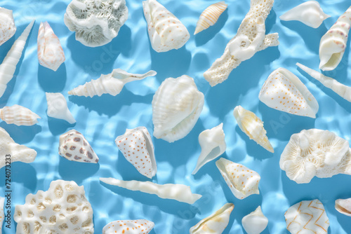 top view of summer  sea concept with seashells and hard shadow in ripple water on blue background