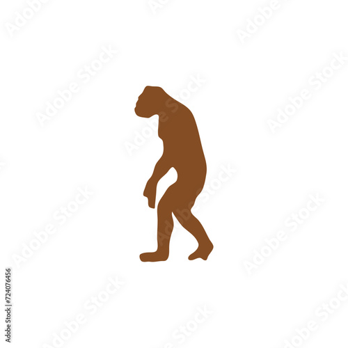 Human evolution silhouette