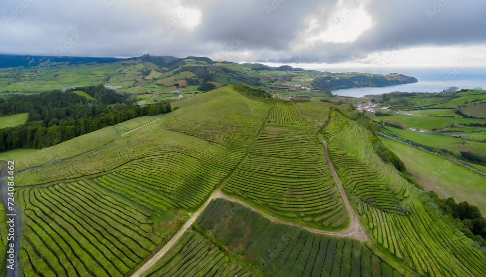 view from above of the cha gorreana tea plantation in sao miguel azores portugal captured by a drone