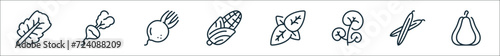 outline set of vegetables line icons. linear vector icons such as kale, turnip, beet, corn, basil, watercress, beans, chayote