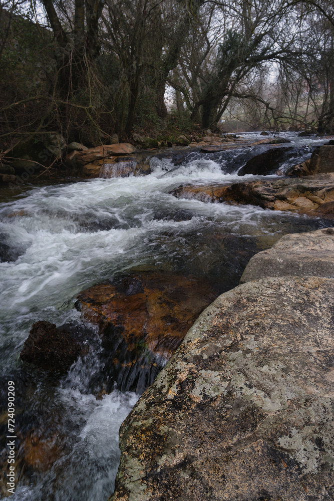 Naklejka premium river, stream, rushing, water, nature, plants, trees, stones, cl