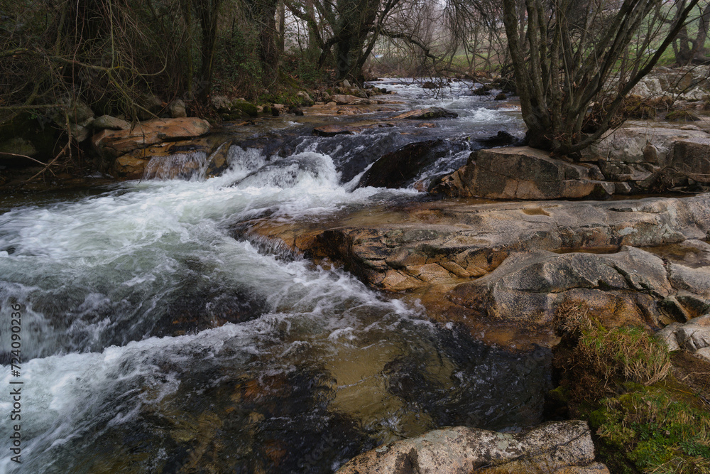 Naklejka premium river, stream, rushing, water, nature, plants, trees, stones, cl