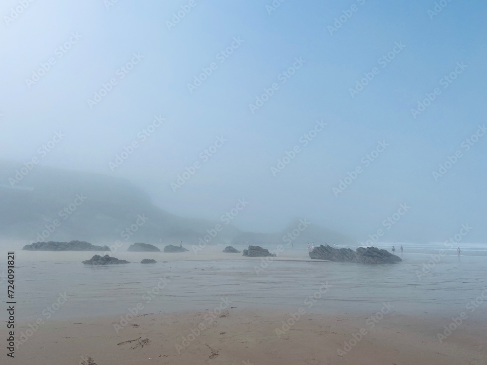 Fototapeta premium foggy ocean coast, fog at the ocean beach