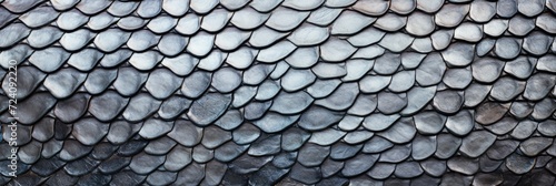 Silver Scales photo