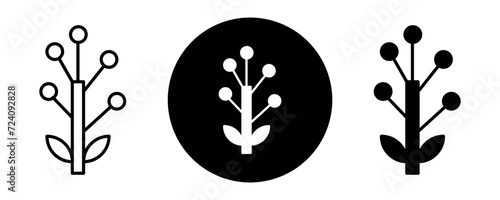 Golden Wattle outline icon collection or set. Golden Wattle Thin vector line art