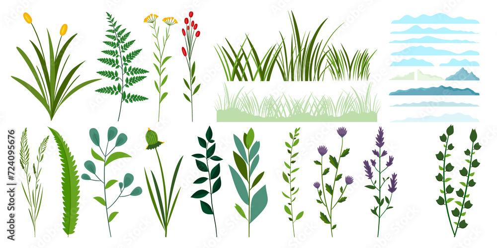 Hand drawn flat herbs and grasses set - obrazy, fototapety, plakaty 