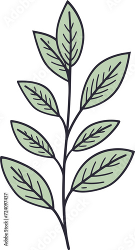 Botanic Palette Vibrant Plant VectorsNatures Illustrations Plant Vectors in Art © The biseeise