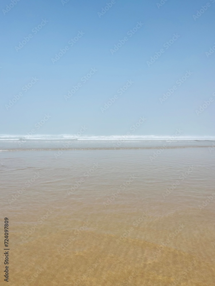 foggy ocean coast, fog at the ocean beach foggy ocean coast, fog at the ocean beach