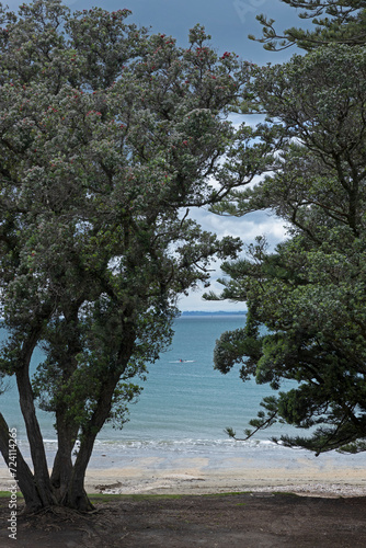 Takapuna beach. Coast Auckland New Zealand.