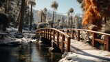 Beautiful winter landscape with wooden bridge and palm trees