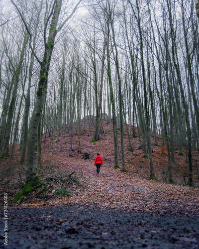 Frau mit roter Jacke bei Herbstwanderung im Wald