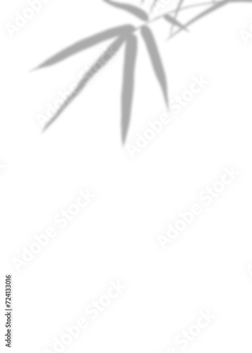 Minimalist Gray Bamboo Leaves shadows Blurry. Design featuring the silhouette of Grey bamboo leaf against a stark Isolated white background  symbolizing elegance and tranquility.