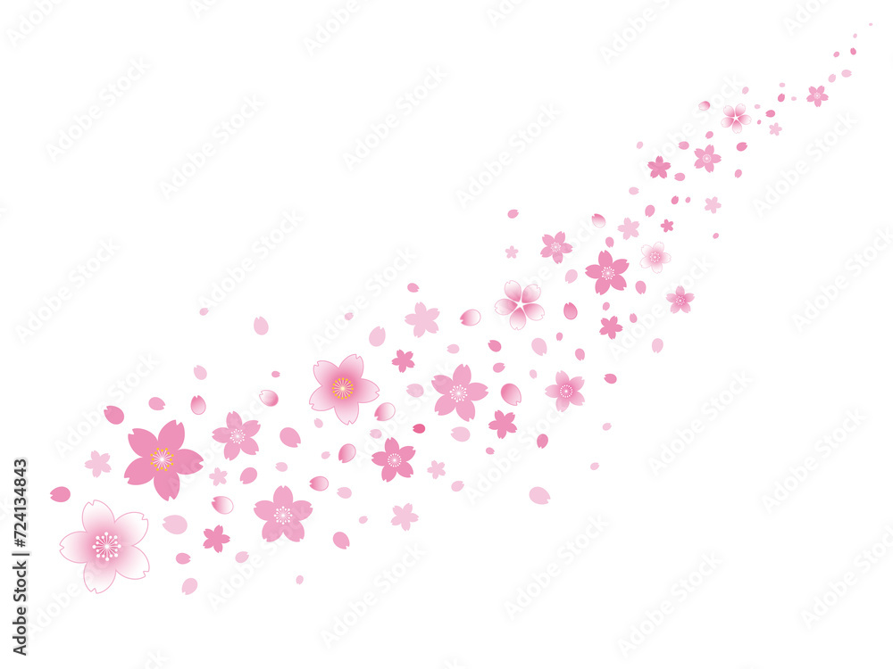 桜2 桜2