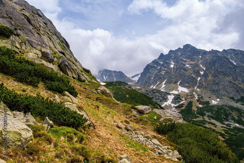 Beautiful mountain landscape in spring time with blooming flowers and mountains in the background, sun day, Vysoke Tatry, High Tatras Slovakia, Poland