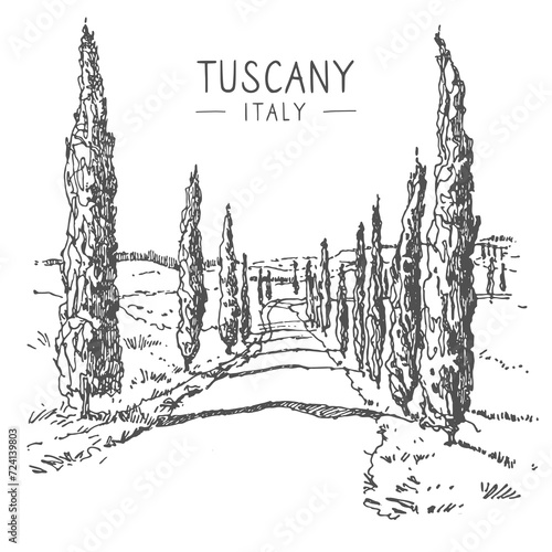 Vector sketch illustration of the road with cypress in Tuscany, Italy, Europe. Sketchy line art drawing with a pen on paper. Sketch in black color isolated on white background. Freehand drawing.