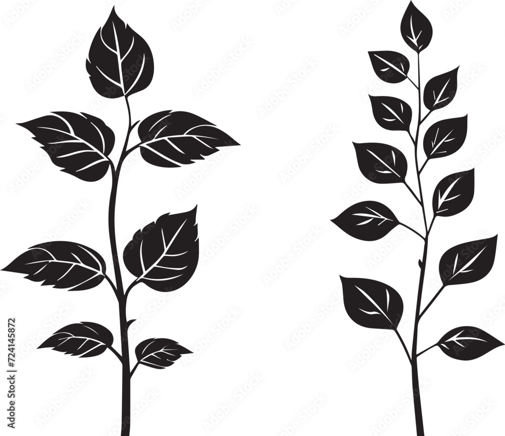Vector silhouette plants white background Vector silhouette plants white background