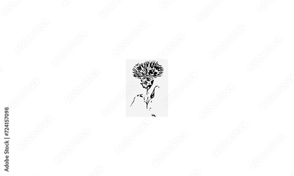 black , white thistle cardo simple blanco, negro black , white thistle cardo simple blanco, negro