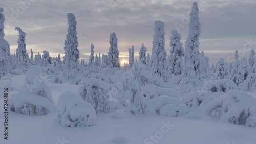 The snowy tundra in the Urho Kekkonen Park immersive drone view