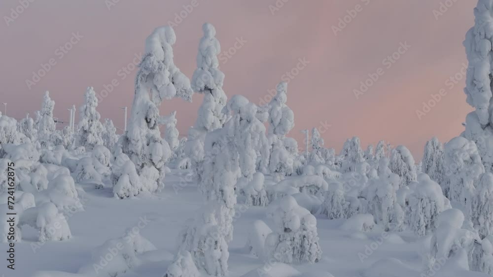 Immersive drone view of snow-covered fir trees in Lapland Immersive drone view of snow-covered fir trees in Lapland