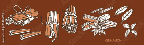 Isolated hand drawn vector set of cinnamon in engraving style. Braun and chocolate colors. Cinnamon sticks and star anise. Style spice and flavor object. Cooking and aromaterapy ingredient.