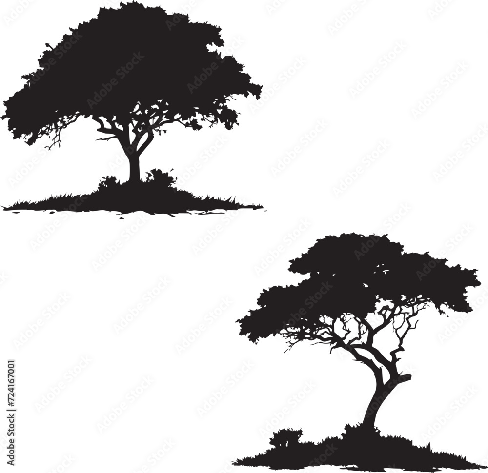 Tree silhouettes  - obrazy, fototapety, plakaty 