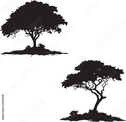 Tree silhouettes 