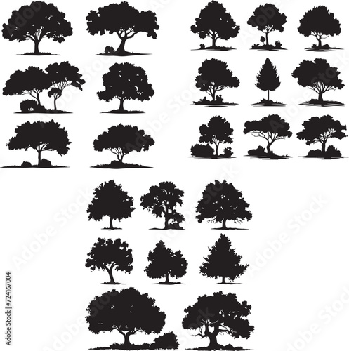 Tree silhouettes 