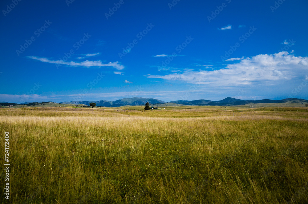 Idyllic landscape with green meadow and blue sky in the background.